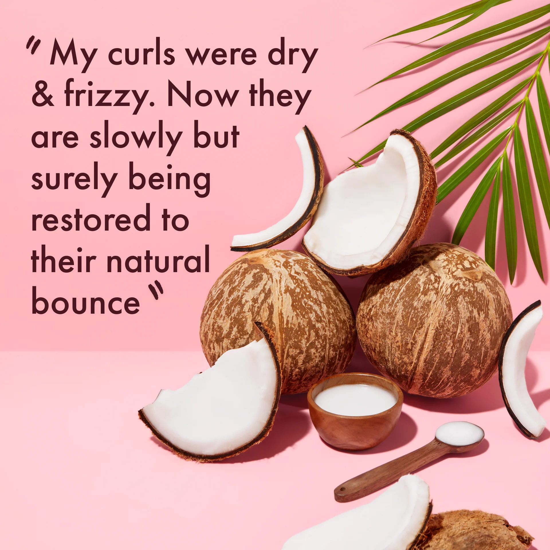 100%  Virgin Coconut Oil Daily Hydration Shampoo - Image 4