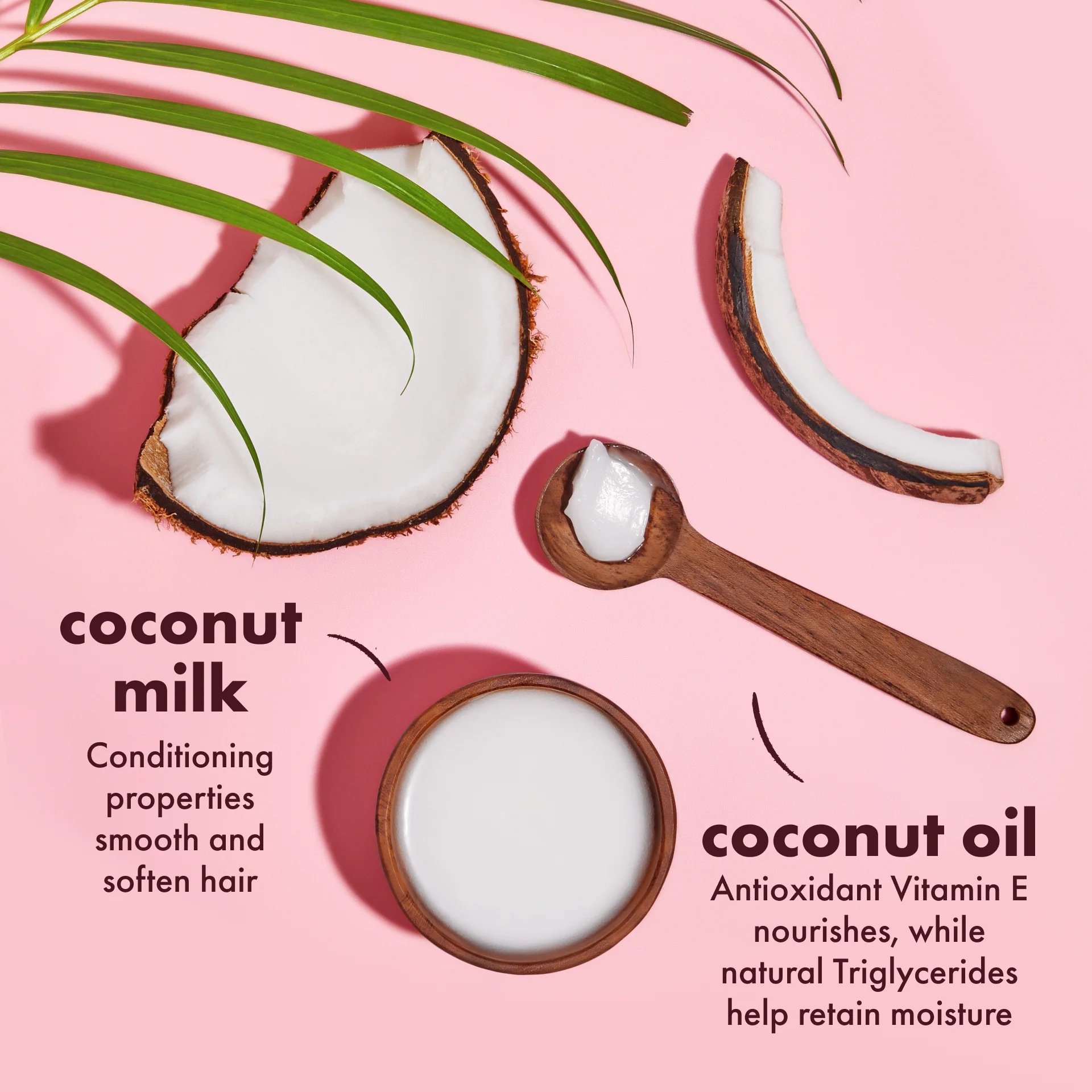 100%  Virgin Coconut Oil Daily Hydration Shampoo - Image 7