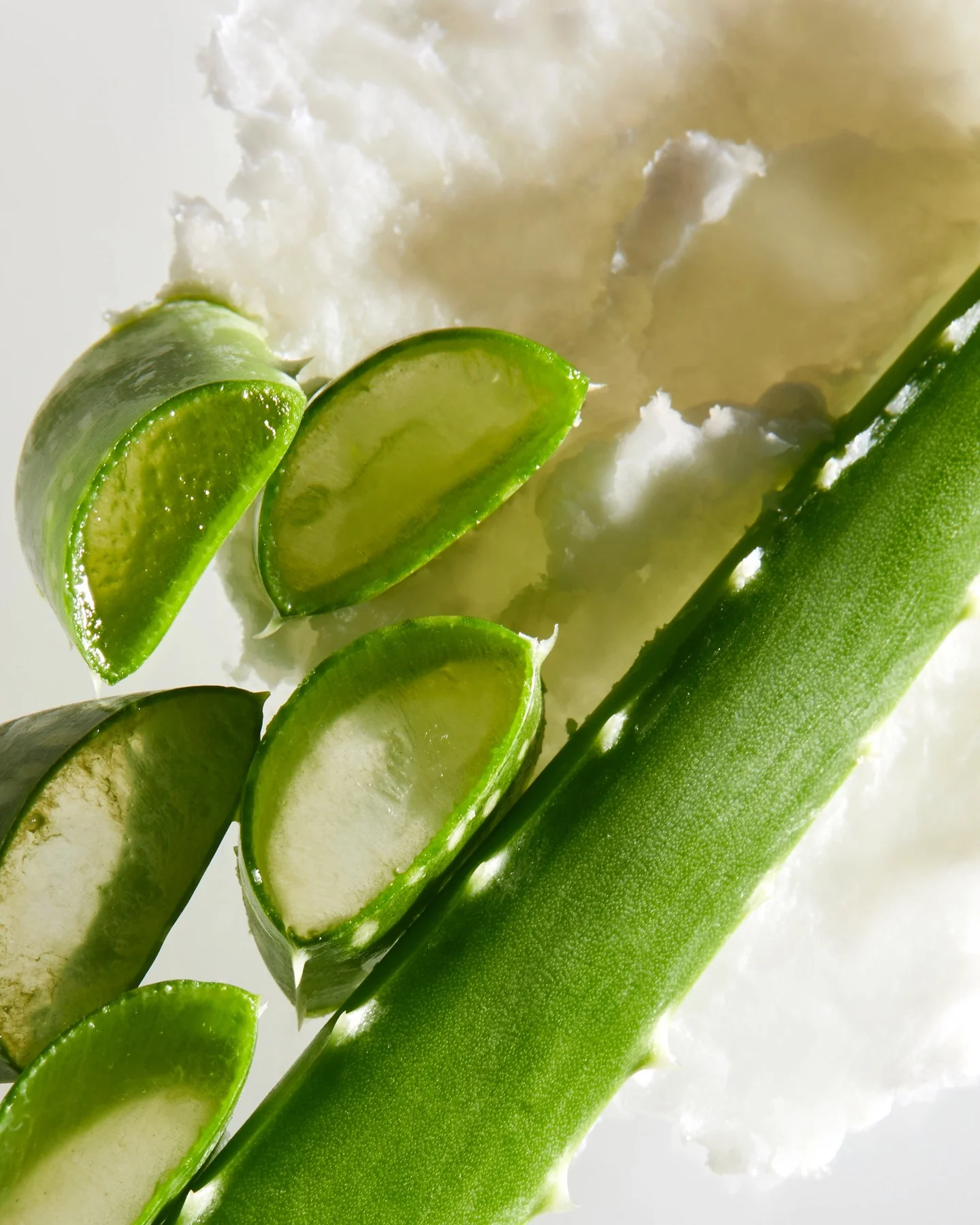 Aloe Butter Scalp Moisture Conditioner - Image 10