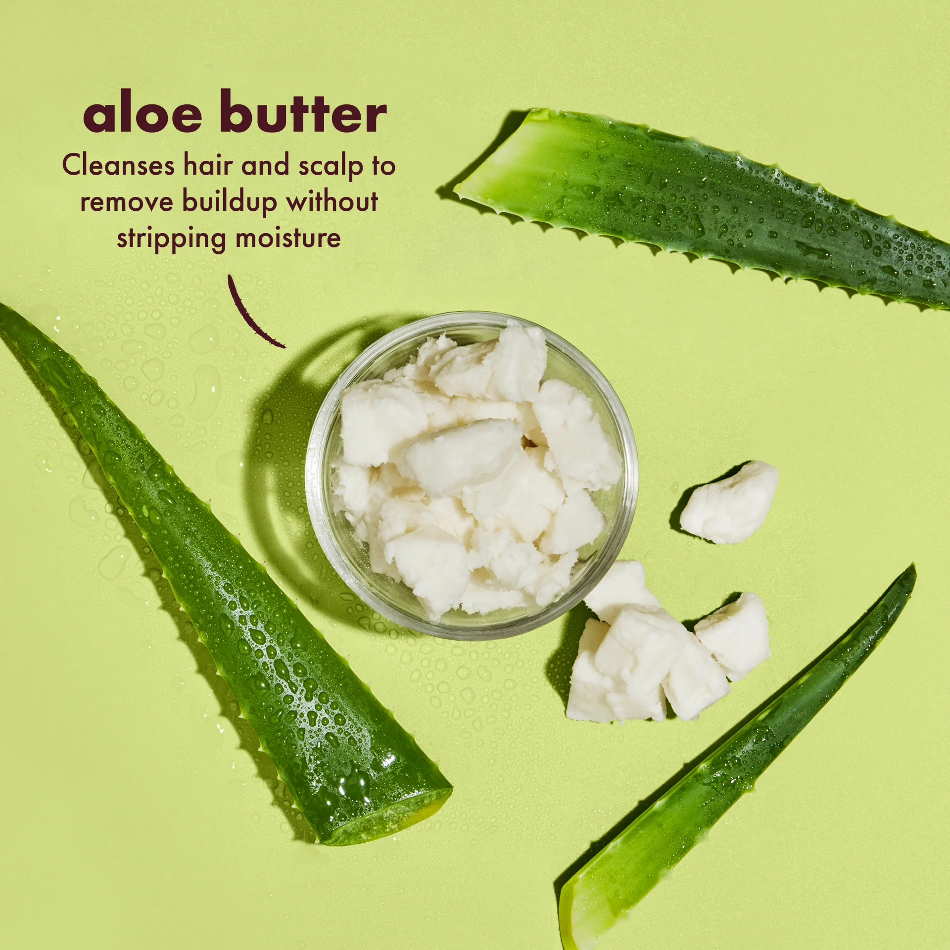 Aloe Butter Scalp Moisture Shampoo - Image 5