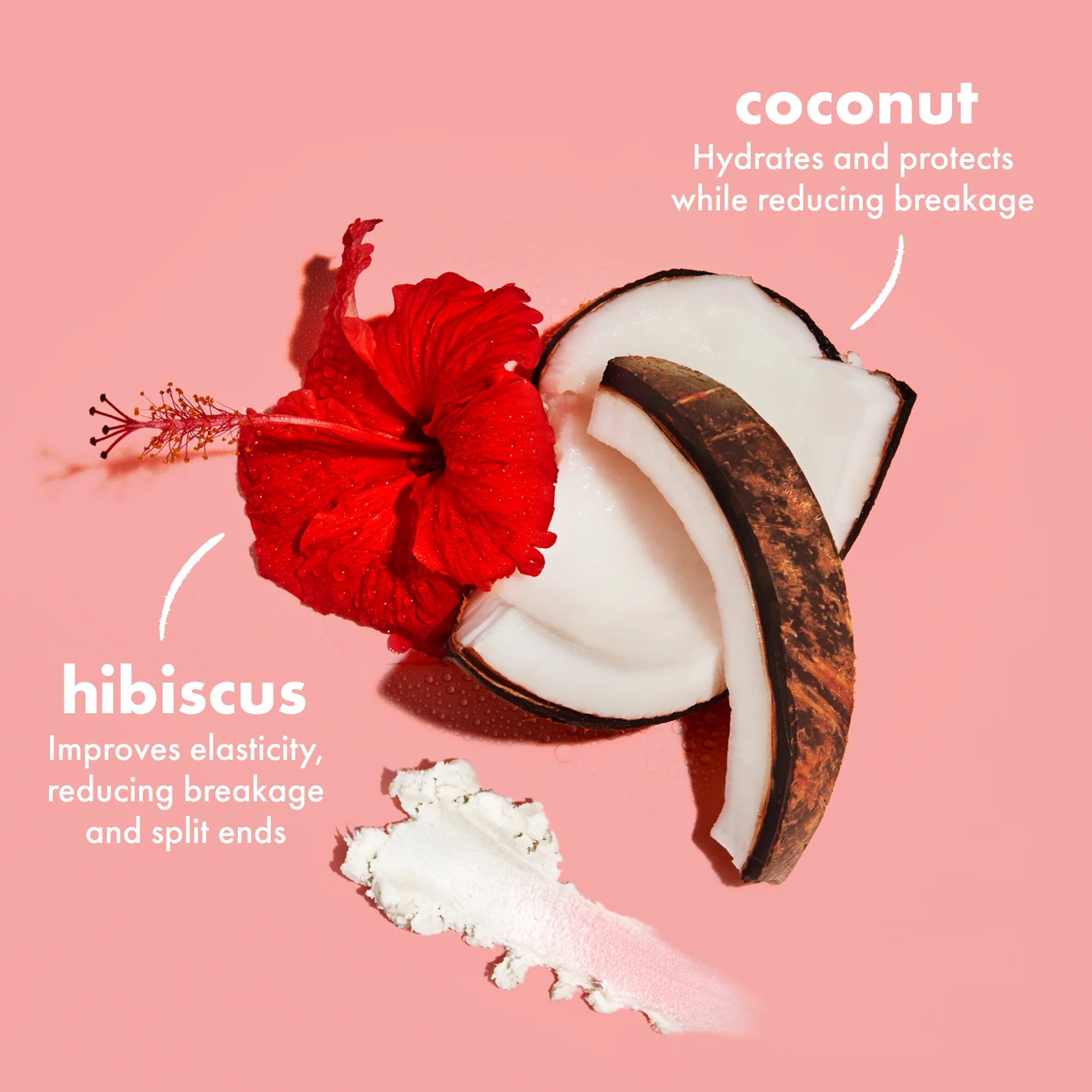 Coconut & Hibiscus Curl & Shine Shampoo - Image 3