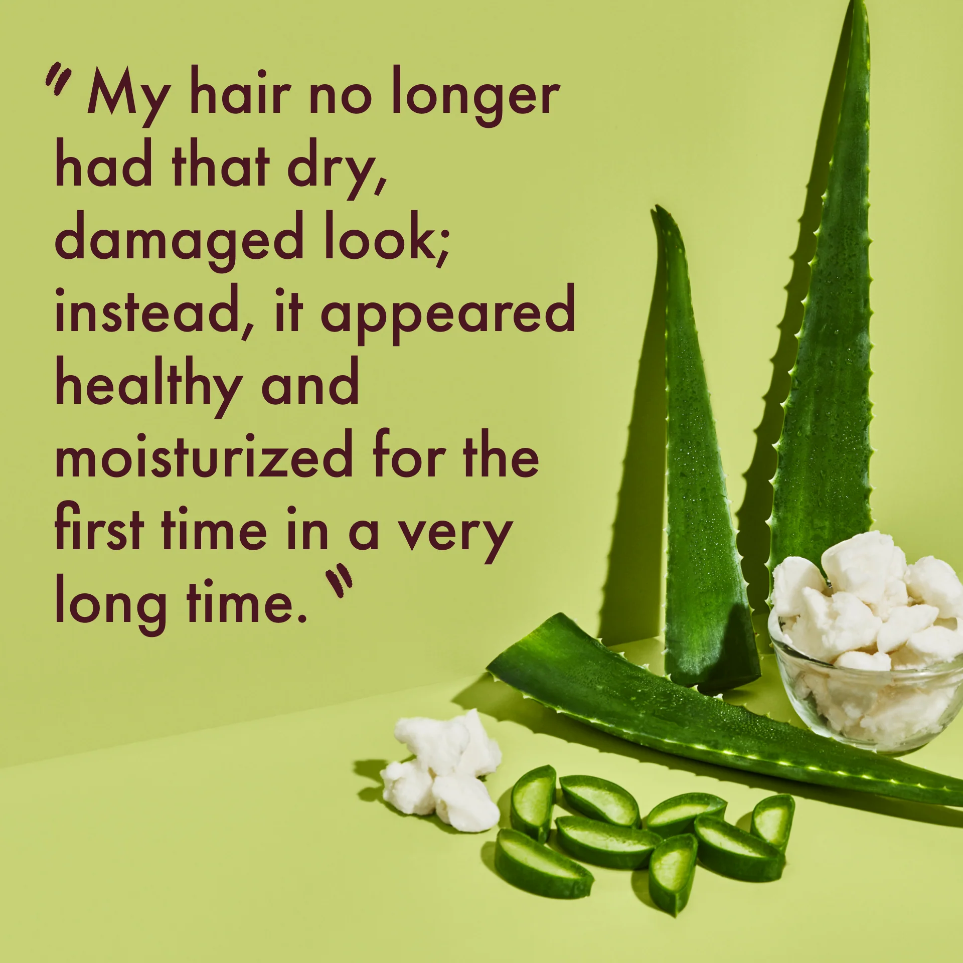 Aloe Butter Scalp Moisture Conditioner - Image 4