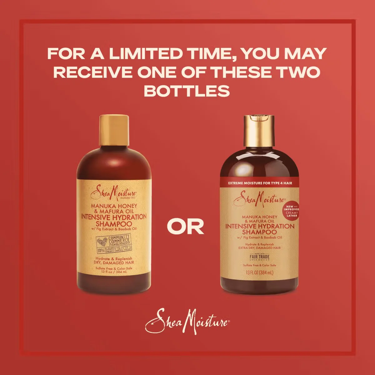 Manuka Honey & Mafura Oil Intensive Hydration Shampoo - Image 4